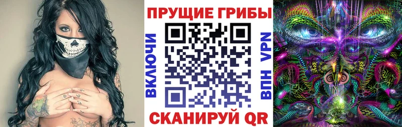 Псилоцибиновые грибы Cubensis  OMG рабочий сайт  Давлеканово 